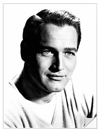 Självhäftande poster Portrait of Paul Newman