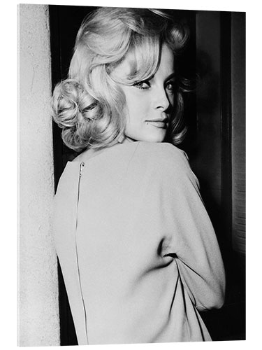 Akryylilasitaulu Virna Lisi in "How to Murder Your Wife", 1965