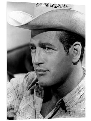 Tableau en PVC Paul Newman in "Hud", 1963