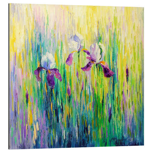 Aluminiumsbilde Irises in a Field