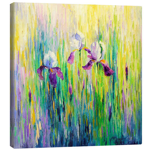 Canvas print Irises in a Field