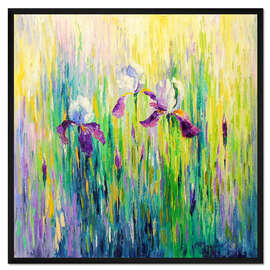 Gerahmter Kunstdruck Iris in einem Feld