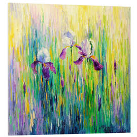 Foam board print Irises in a Field