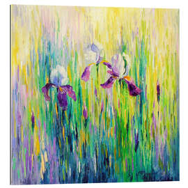 Gallery print Irises in a Field