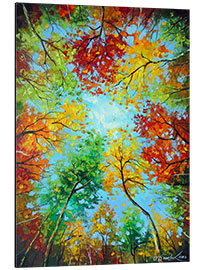 Aluminium print In the Autumn Forest