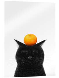 Acrylglasbild Schwarze Katze mit Mandarine - Valeriya Korenkova