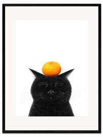 Gerahmter Kunstdruck Schwarze Katze mit Mandarine