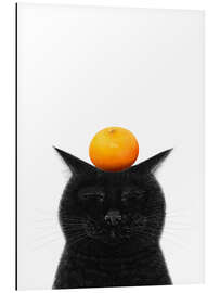 Magnettafel Schwarze Katze mit Mandarine
