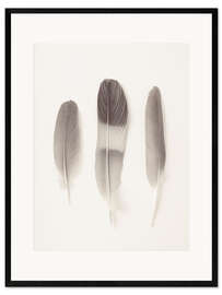 Kunsttryk i ramme Delicate Feathers