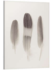 Magnettafel Zarte Federn