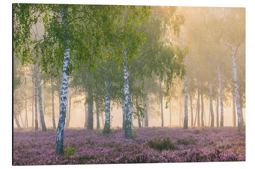 Tableau en aluminium Late Summer Morning