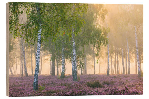 Quadro de madeira Late Summer Morning