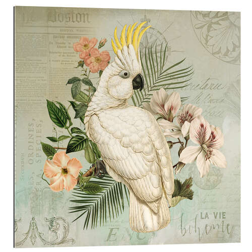 Gallery print Cockatoo Nostalgia