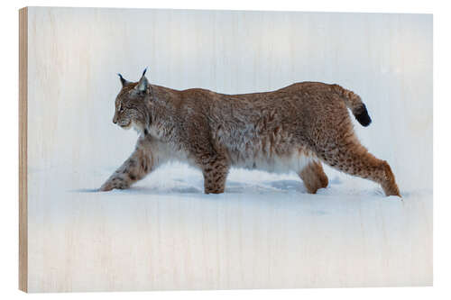 Wood print Lynx in Deep Snow