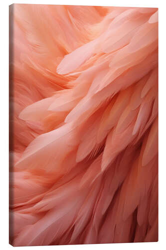 Canvas print Pink Feathers