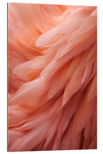 Gallery print Pink Feathers