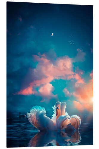 Quadro em acrílico White Swans in Love