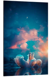 Aluminium print White Swans in Love