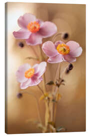 Canvas print Pink Anemones