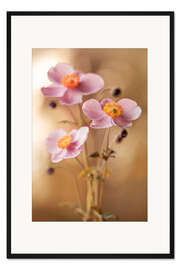 Gerahmter Kunstdruck Rosa Anemonen