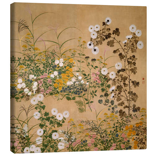 Canvas print Flowering Plants in Autumn