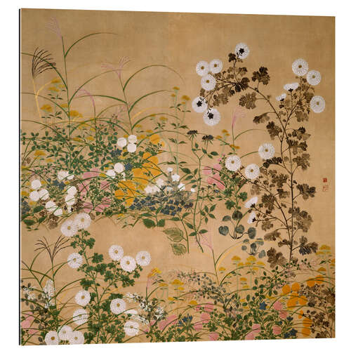 Tableau en plexi-alu Flowering Plants in Autumn