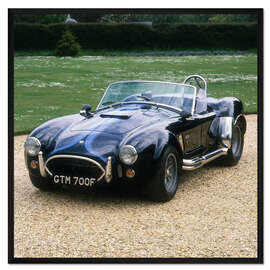 Gerahmter Kunstdruck 1965 AC Shelby Cobra 427