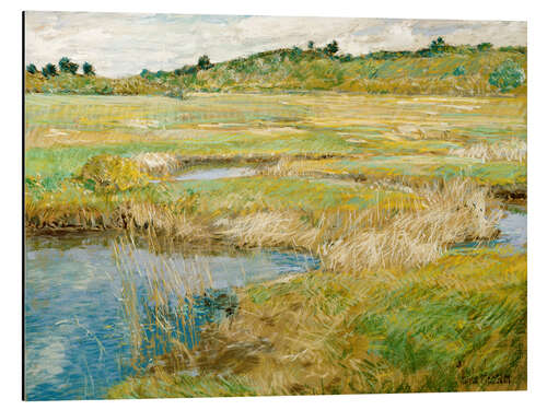 Cuadro de aluminio The Concord Meadow, 1890