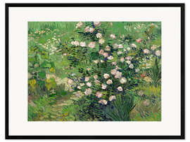 Kehystetty taidepainatus Roses