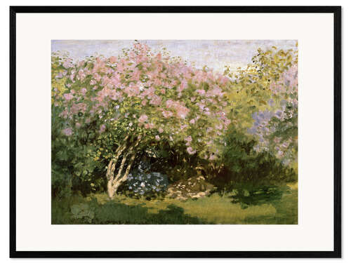 Ingelijste kunstdruk Lilac in the Sun