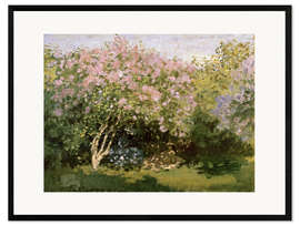 Framed art print Lilac in the Sun