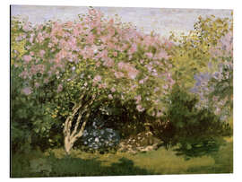 Magnettafel Flieder in der Sonne