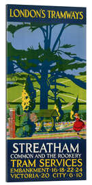 Gallery print Streatham Common and the Rookery, Tony Castle