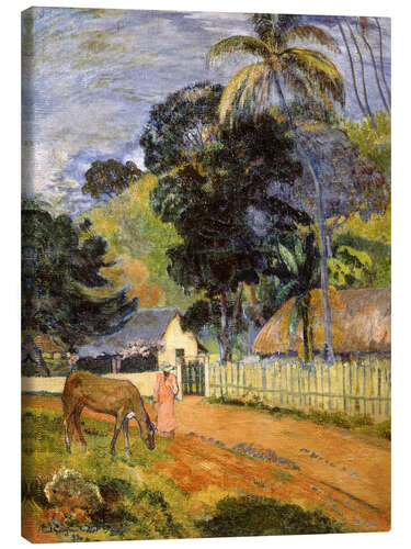 Canvas print Horse on Road, Tahitian Landscape