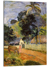 Magnettafel Pferd auf der Straße, Tahiti-Landschaft