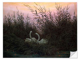 Vinilo para la pared Swans in the Reeds