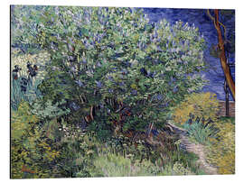 Aluminium print Lilac Bush, 1889