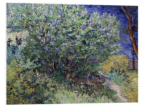 Foam board print Lilac Bush, 1889