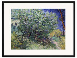 Gerahmter Kunstdruck Fliederbusch, 1889