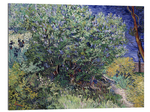 Gallery print Lilac Bush, 1889