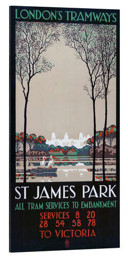 Aluminium print St James' Park