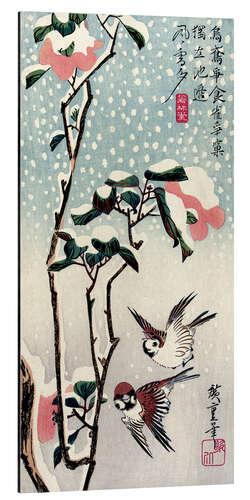 Aluminiumsbilde Sparrows and Camellias in the Snow