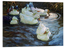 Acrylic print Ducks on a Pond