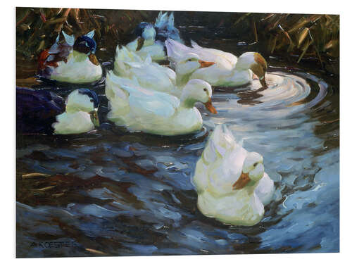 Tableau en PVC Ducks on a Pond