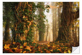 Sticker mural A Magical Dutch Forest in Autumn