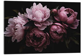 Acrylglasbild Opulente Blumen in Pastellrosa