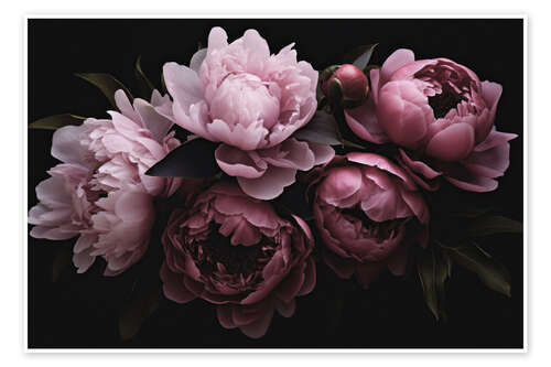 Poster Opulent Flowers Pastel Pink