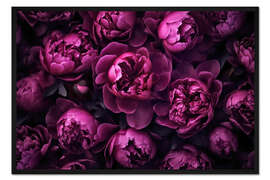 Gerahmter Kunstdruck Lila Pfingstrosen