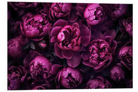 Foam board print Purple Peonies