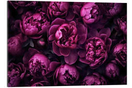 Tableau en plexi-alu Purple Peonies